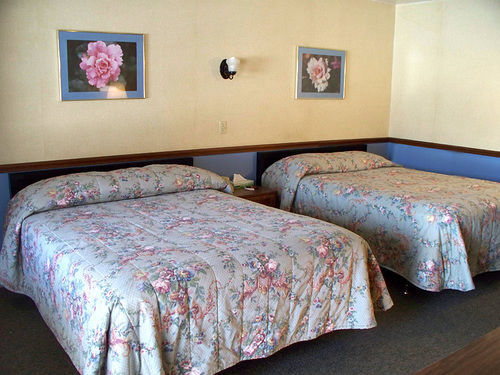 Roscoe Motor Inn Coshocton מראה חיצוני תמונה